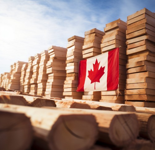 Navigating Tariffs, Building Opportunity: Canada’s Softwood Shift
