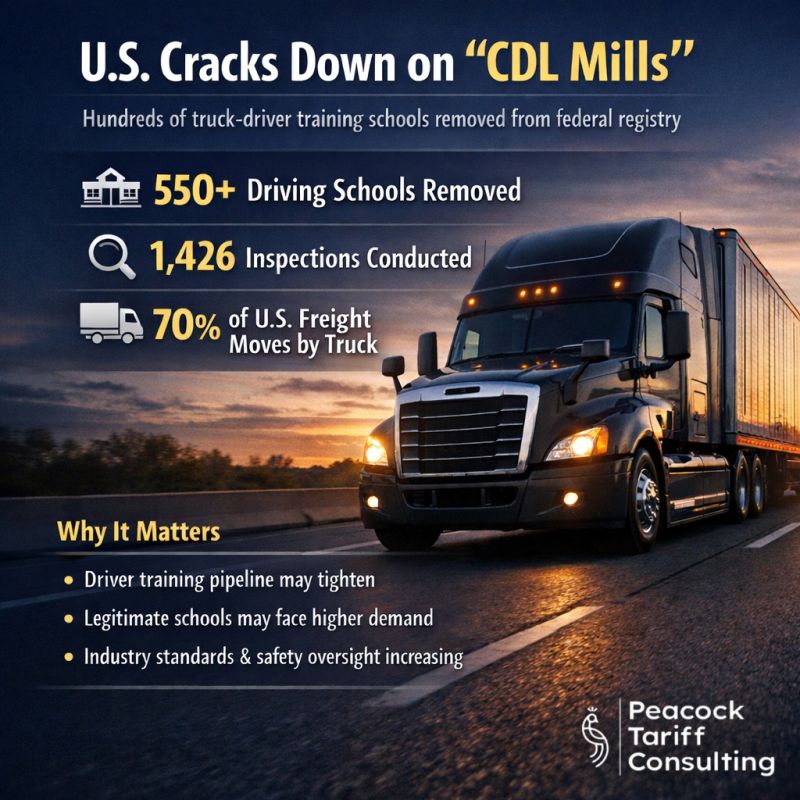 CDL Mills and the Freight Crisis: Why Driver Training Standards Matter More Than Ever