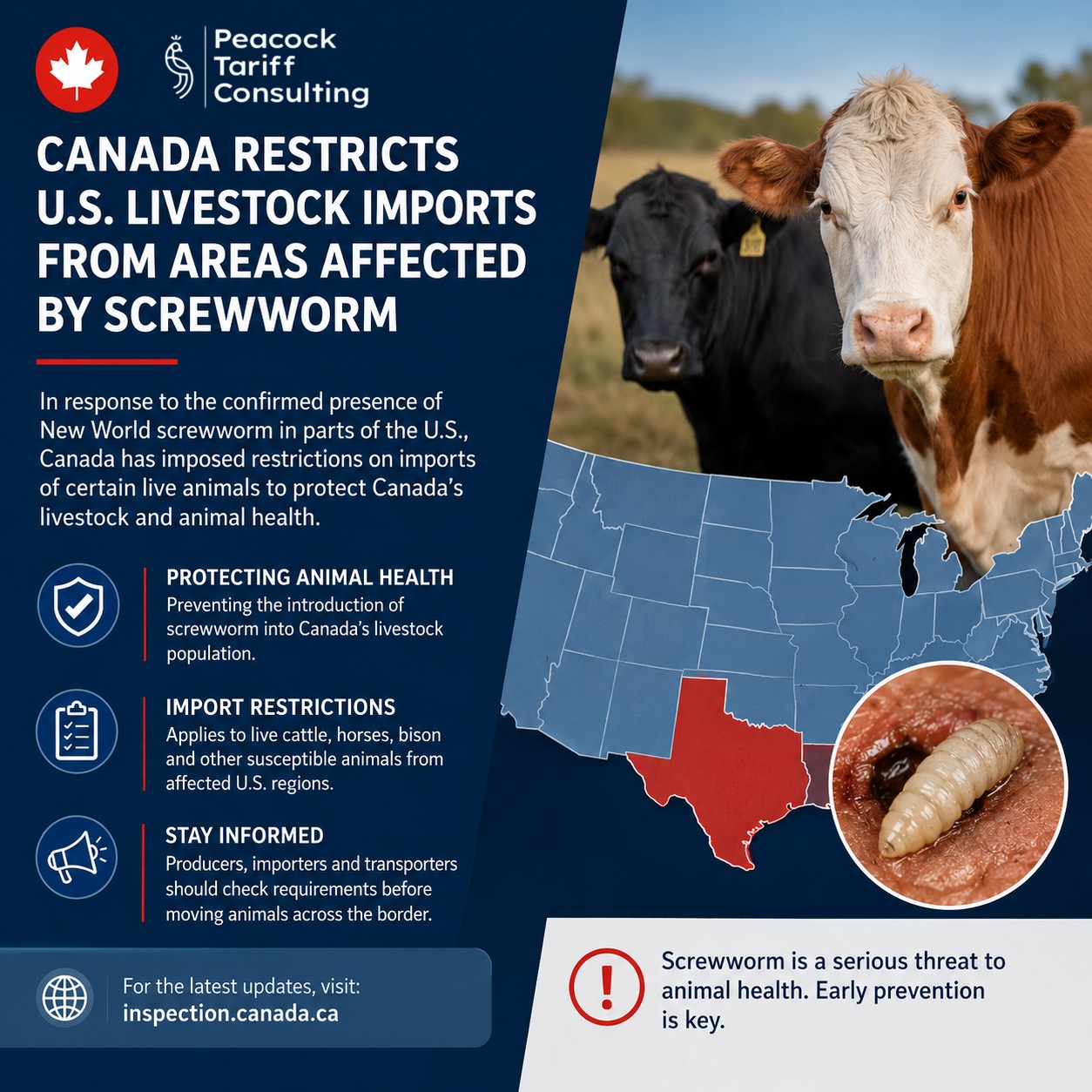 When a Parasite Becomes a Trade Barrier
Canada, Mexico and the World Respond to the First U.S. Screwworm Case in Six Decades